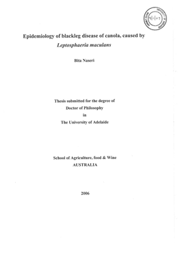 Epidemiology of Blackleg Disease of Canola, Caused by Leptosphaeria