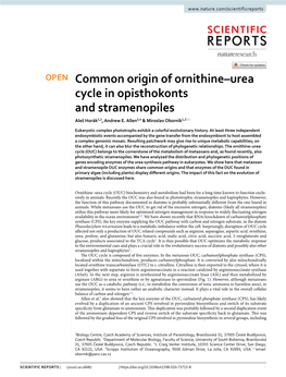 Common Origin of Ornithine–Urea Cycle in Opisthokonts and Stramenopiles Aleš Horák1,2, Andrew E