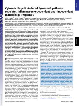 Cytosolic Flagellin-Induced Lysosomal Pathway Regulates Inflammasome