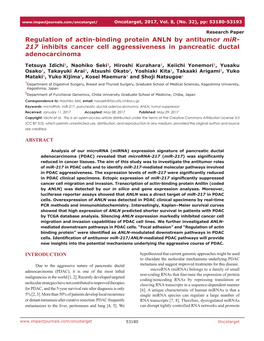 Regulation of Actin-Binding Protein ANLN by Antitumor Mir-217 Inhibits