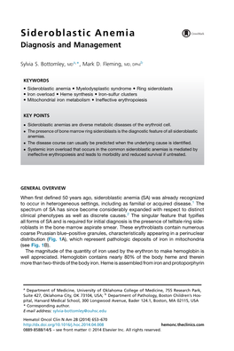 Sideroblastic Anemia Diagnosis and Management