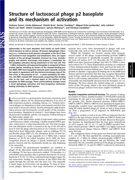 Structure of Lactococcal Phage P2 Baseplate and Its Mechanism of Activation