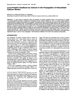 Local Positive Feedback by Calcium in the Propagation of Intracellular Calcium Waves*