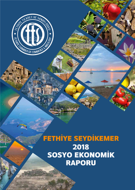 Fethiye Seydikemer 2018 Sosyo Ekonomik Raporu Sosyo Ekonomik Raporu