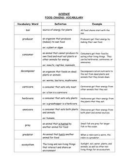 SCIENCE FOOD CHAINS: VOCABULARY Vocabulary Word