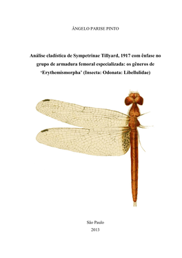 'Erythemismorpha' (Insecta: Odonata: Libellulidae)