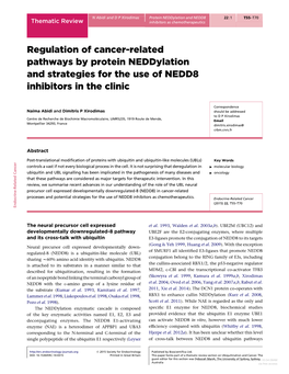 Regulation of Cancer-Related Pathways by Protein Neddylation and Strategies for the Use of NEDD8 Inhibitors in the Clinic