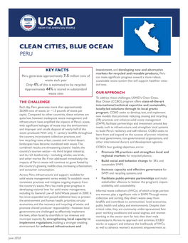 Clean Cities, Blue Ocean Peru