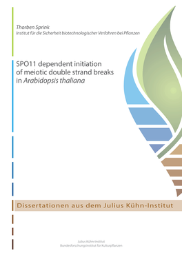 SPO11 Dependent Initiation of Meiotic Double Strand Breaks in Arabidopsis Thaliana