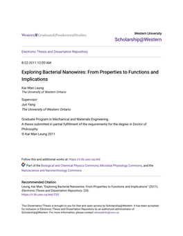 Exploring Bacterial Nanowires: from Properties to Functions and Implications