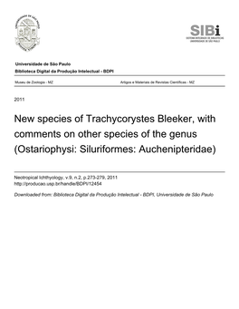 New Species of Trachycorystes Bleeker, with Comments on Other Species of the Genus (Ostariophysi: Siluriformes: Auchenipteridae)
