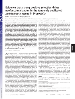 Evidence That Strong Positive Selection Drives Neofunctionalization in the Tandemly Duplicated Polyhomeotic Genes in Drosophila