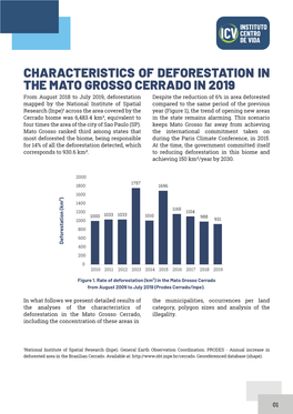 Characteristics of Deforestation in the Mato Grosso Cerrado in 2019