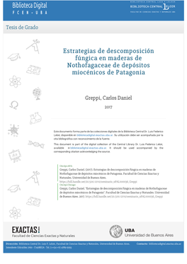 Estrategias De Descomposición Fúngica En Maderas De Nothofagaceae De Depósitos Miocénicos De Patagonia