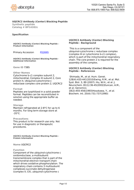 UQCRC2 Antibody (Center) Blocking Peptide Synthetic Peptide Catalog # Bp14382c