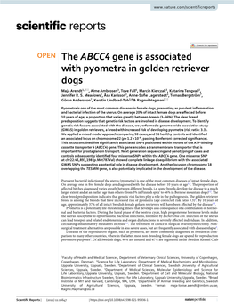 The ABCC4 Gene Is Associated with Pyometra in Golden Retriever Dogs Maja Arendt1,2*, Aime Ambrosen3, Tove Fall4, Marcin Kierczak5, Katarina Tengvall2, Jennifer R