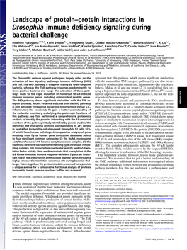 Landscape of Protein–Protein Interactions in Drosophila Immune Deﬁciency Signaling During Bacterial Challenge