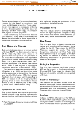 Groundnut Virus Research at ICRISAT