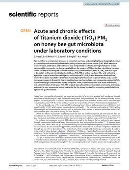 Acute and Chronic Effects of Titanium Dioxide (Tio2) PM1 on Honey Bee