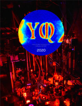 YALE QUANTUM INSTITUTE ANNUAL REPORT 2020 on the Cover