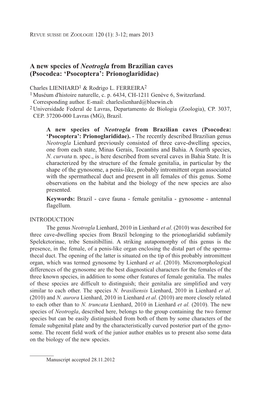 A New Species of Neotrogla from Brazilian Caves (Psocodea: ‘Psocoptera’: Prionoglarididae)