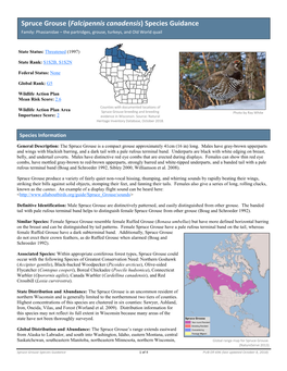 Spruce Grouse (Falcipennis Canadensis) Species Guidance Family: Phasianidae – the Partridges, Grouse, Turkeys, and Old World Quail