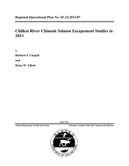 Chilkat River Chinook Salmon Escapement Studies in 2013