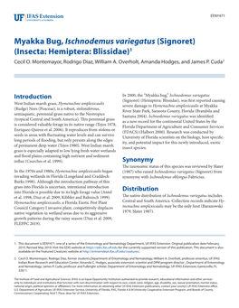 Myakka Bug, Ischnodemus Variegatus (Signoret) (Insecta: Hemiptera: Blissidae)1 Cecil O
