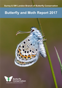 Butterfly and Moth Report 2017