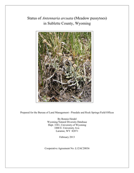 Status of Antennaria Arcuata (Meadow Pussytoes) in Sublette County, Wyoming