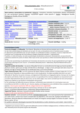 Alluaudia Procera (°) Quasi Menacé (UICN 2,3 )