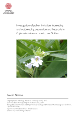 Investigation of Pollen Limitation, Inbreeding and Outbreeding Depression and Heterosis in Euphrasia Stricta Var