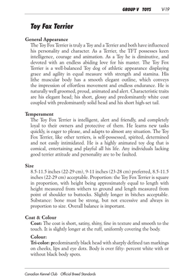 Toy Fox Terrier Breed Standard