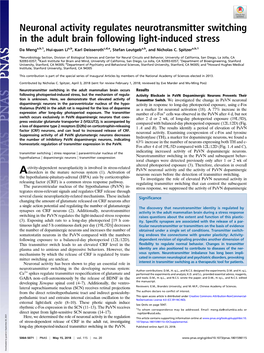 Neuronal Activity Regulates Neurotransmitter Switching in the Adult Brain Following Light-Induced Stress