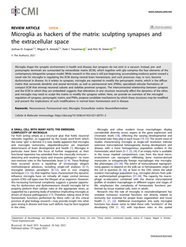 Sculpting Synapses and the Extracellular Space ✉ Joshua D