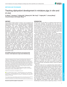 Tracking Diphyodont Development in Miniature Pigs in Vitro and in Vivo