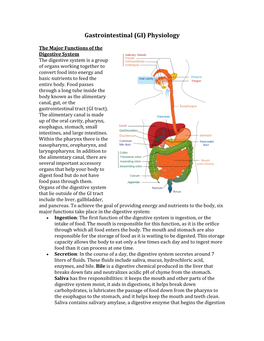 Gastrointestinal (GI) Physiology