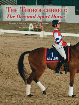 The Thoroughbred: the Original Sport Horse