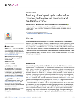 Anatomy of Leaf Apical Hydathodes in Four Monocotyledon Plants of Economic and Academic Relevance