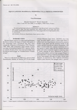 Equus Capensis (Mammalia, Perissodactyla) from Elandsfontein