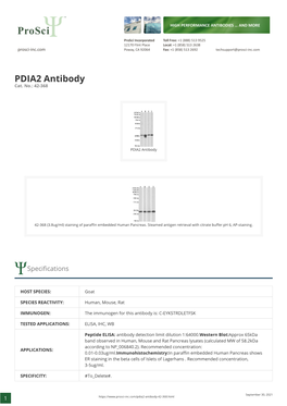 PDIA2 Antibody Cat