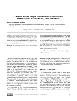 Taxonomic Position and Glochidia from the Freshwater Mussel, Anodonta Luteola (Unionoida: Unionidae), in Costa Rica