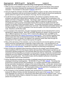 Organogenesis of the Endoderm and Branching Morphogenesis of the Kidney 1