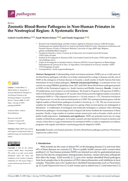 Zoonotic Blood-Borne Pathogens in Non-Human Primates in the Neotropical Region: a Systematic Review
