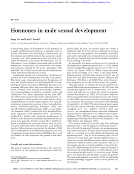 Hormones in Male Sexual Development