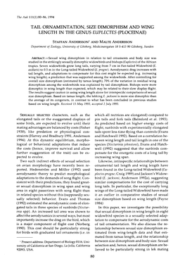 Tail Ornamentation, Size Dimorphism and Wing Length in the Genus Euplectes (Ploceinae)