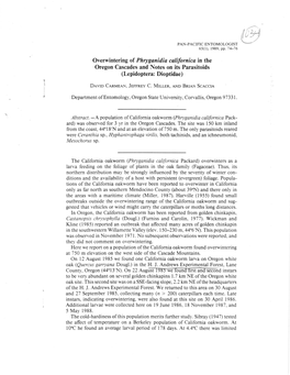 Mesochorus Sp. the California Oakworm (Phryganidia Californica