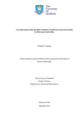 Curran Thesis Full.Pdf