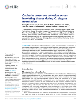 Cadherin Preserves Cohesion Across Involuting Tissues During C. Elegans