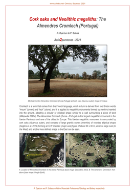 Cork Oaks and Neolithic Megaliths: the Almendres Cromlech (Portugal)